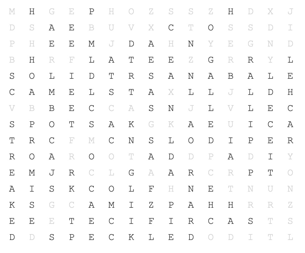 Word search solution