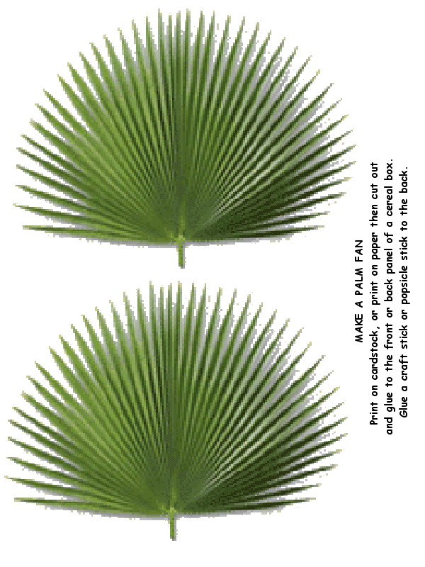 Palm Fan Craft