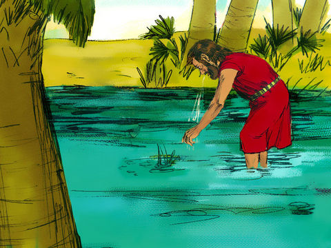 The Lord showed Moses a tree to throw into the water