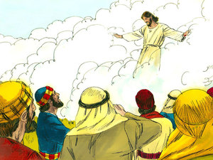 The cloud surrounded
Jesus and lifted him up into the sky