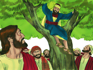 Zacchaeus come down
