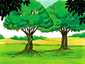 In the middle of this beautiful garden God planted two very
special trees - Picture courtesy of Free Bible Images
