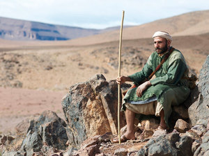 Imagine that you are a shepherd and you have one hundred sheep to care for