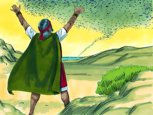 The Lord sent a west wind blowing all the locusts into the sea