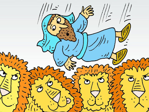 Oornag By Die Leeus Overnight With the Lions