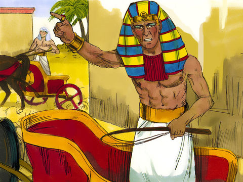 We MUST chase after them and return them to Egypt immediately