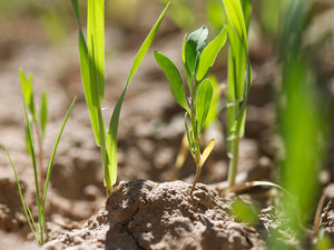 Then there are the people who are like the good soil