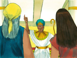 He had a meeting with the nurses and told them
  to kill all the boy babies that were born into Israelite families