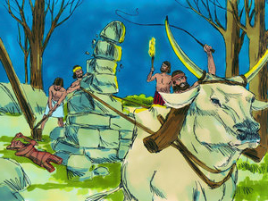 God told Gideon to  hitch the bull to his family\'s altar of Baal and pull it down