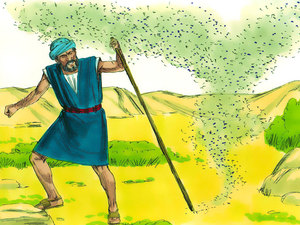 All Egypt was covered in lice
