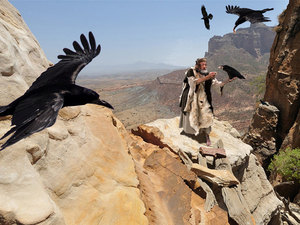 The raven brought bread and dropped it right
beside Elijah