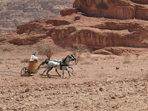 Joseph prepared his chariot and practically flew to see his father
