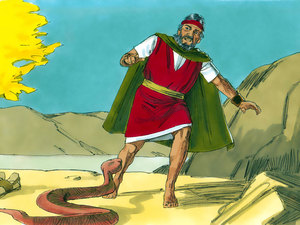 Then the Lord told Moses to throw his rod to the ground