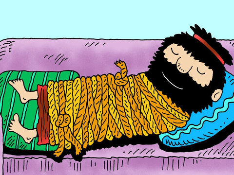 When Samson fell sound asleep again, she bound him with fresh