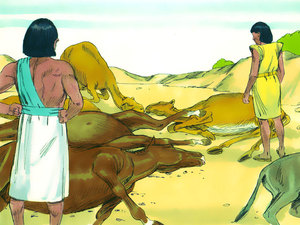 Animals died by the thousands from the pestilence