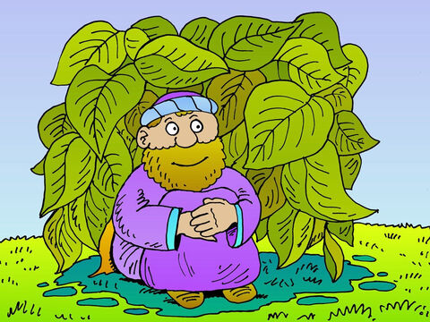 God caused a gourd and its vine to grow up over the top of Jonah, to give Jonah shade from the hot sun