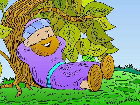 God caused a gourd and its vine to grow up over the top of Jonah, to 
give Jonah shade from the hot sun