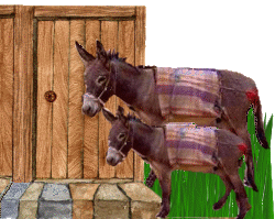 Two Donkeys