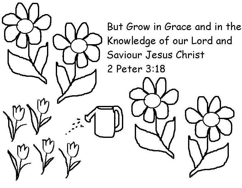 But grow in grace and in the knowledge of our Lord and Savior Jesus Christ