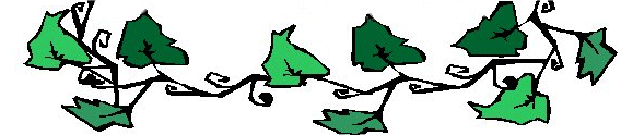 Bean Patch Divider