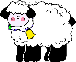 sheep