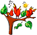 birds singing