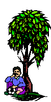 boy sitting under a tree