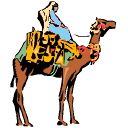 camel