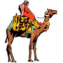 camel