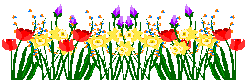 spring flowers