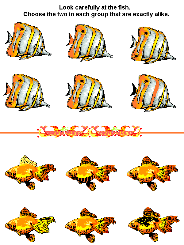 Fish Matching Game