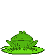 Frog jumping