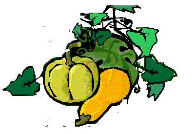gourds