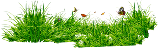 The children\'s Chapel award-winning site featuring Bible stories from a variety of authors excellent Christian resources for children, and over 140 links to other Christian and family-friendly sites for kids