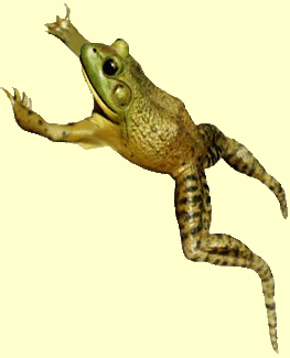 jumping frogs