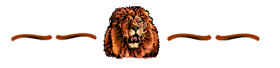 Lion Divider Bar