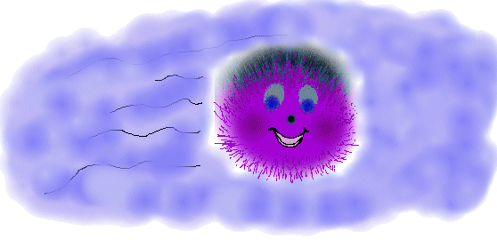 Murple