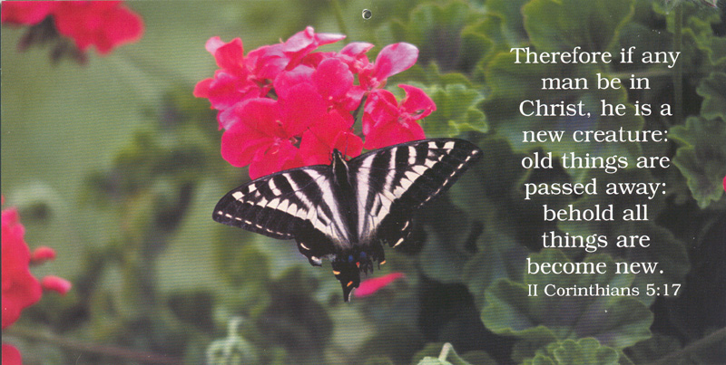Therefore if any man be in Christ, he is a new creature: old things are passed away: behold all things are become new. 2 Corinthians 5:17