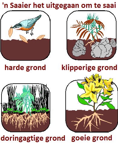 Parable of the Sower