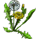 Weeds