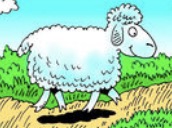 Saved from Death by the Passover Lamb