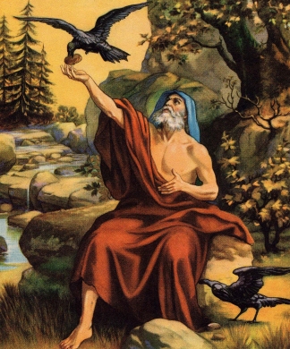 Elijah Was Fed By A Raven Story Card